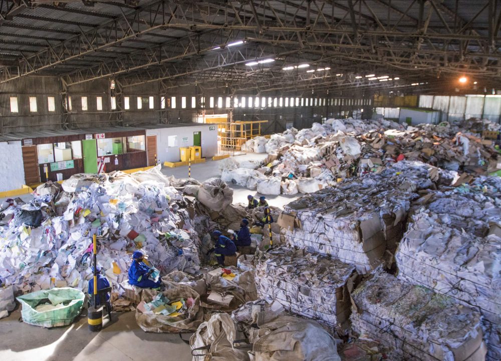 petco-government-why-waste