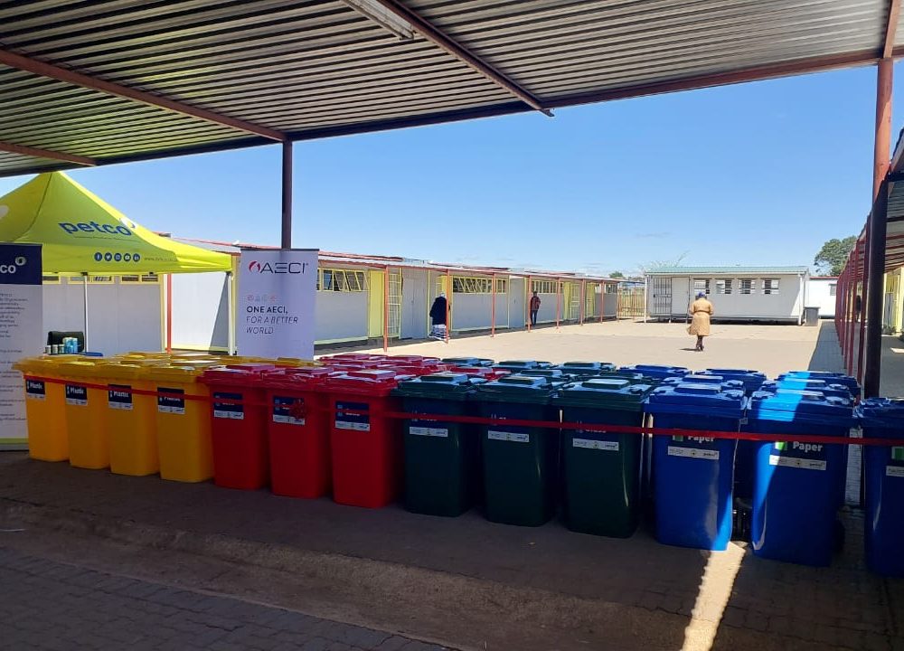 petco-how to collect and sort at school 7