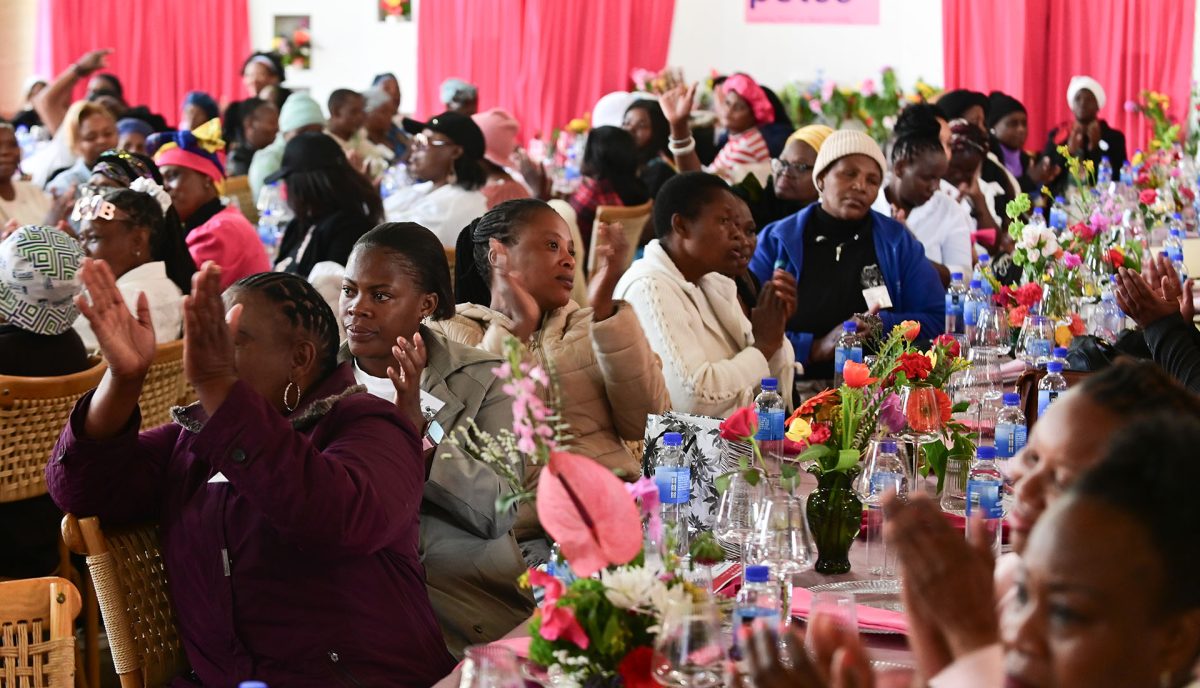 petco womens day featured